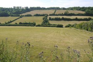 Photo 7- click for photo gallery